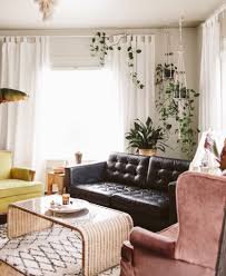 This climbing plant prefers the coolness, but not the extreme cold. Best Plants For Your Apartment Bloomscape