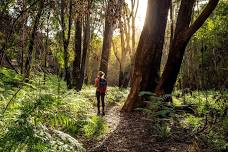 Hevreh Hikes: Bidwell House