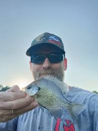 Bream Fishing Fanatics