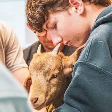 A performance-based approach to being student first