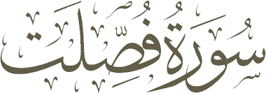 Surah Fussilat Ayah #3 with English Translation