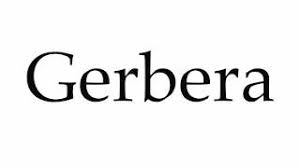 How To Pronounce Gerbera Youtube