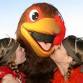 San Francisco Turkey Trot event image