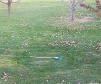 Remove any trash, grass or other debris from the depression. Repairing A Sunken Lawn Successful Farming