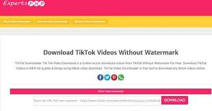 You are not required to install any software . 8 Free Online Tiktok Video Downloaders No Watermark Included 2021