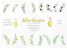 Olive Garden Clipart Collection Clip Art Garden Clipart Olive Gardens