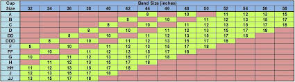 Logcontdeci Breast Size Comparison Pictures