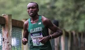Sustainability 12 (3), 868, 2020. Gnacsports Com Kangogo Ribich Land All American Honors At Nationals