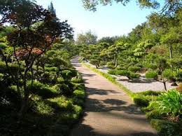 It's a surprisingly big and well done japanese garden with paths, water, and really nice trees that have been sculpted. Rich Culture A Cornerstone Of Hayward Japanese Gardens The Mercury News