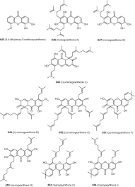 Image result for Hypericum peplidifolium