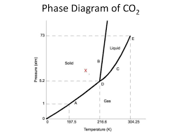 Phase Diagram