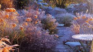 Winter Garden Grasses And Hydrangeas Cottage Garden Cottage Garden Design Garden Design