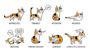 The Illustration Every Cat Parent Must Have Displayed In Their Home Kucing Karikatur