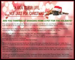 A Dog Is For Life Not Just For Christmas Life Dog Life Responsible Pet Owner