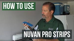 Identification key for insect pests in and around the home. Nuvan Pro Strips How To Guide Bed Bug Control Youtube