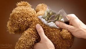 These are containers with hidden compartments designed for hiding weed in plain sight. Top 10 Smart Places To Hide Weed Herbies