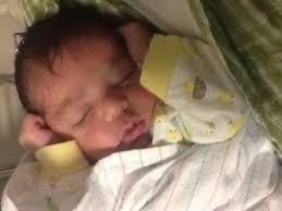 President's Note Dogs On Call Picnic