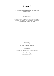 Image result for Stolzia cupuligera