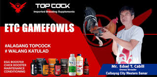 Very recommended for convalescent birds from diseases or fights, to give after the vaccination and to avoid the loss of animals. Topcock Gamefowl Supplement Home Facebook