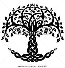 Vector Ornament Decorative Celtic Tree Of Life Celtics Celtic Tattoos Celtic Tree Tattoos