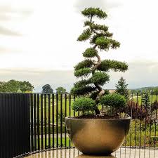 Gartencenter | 38 followers on linkedin. Meier Treffpunkt Fur Gartengeniesser Home Facebook