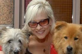 Phil Meehan, DDS, 2614 Patriot Blvd, # B, Glenview, IL 60026, US