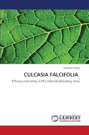 Image result for Culcasia falcifolia