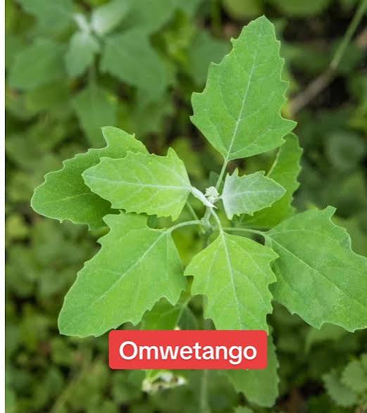 Mwetango Good Luck & Clear Path Mixture — Success & Prosperity natural herbal product from Tropical Herbs
