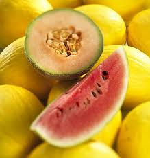 Es sind 23 kalorien in galiamelone (100 g). Melone Lecker