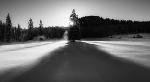 Pokljuka is a forested high karst plateau in the julian alps. Dreamy Pixel Winter Fairy Tale At Pokljuka Plateau Dreamy Pixel