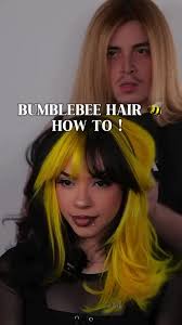 Bumble Bee Hairstyle