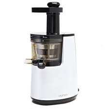 Top 10 Best Cold Press Juicer Review 2019 Masticating