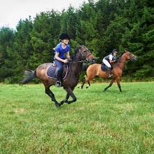 I heard this phrase again recently and it has really stayed with me. Safety Tips For Horseback Riders While Riding
