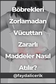 bobrek ve karacigeri zorlamadan toksinleri nasil atariz faydali icerik saglik ipuclari saglik saglikli yasam