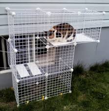Outdoor cat enclosures allow your cat to play, rest, and experience life outside in safety. Build A Do It Yourself Outdoor Cat Enclosure Or Run Outdoor Cat Enclosure Cat Enclosure Cat Patio