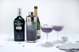 Sparkling Moonlight Nolet S Gin Gin Creme De Violette Dry Gin