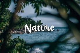 Over 1130150 high quality photos. 45 Free Nature Pictures That Showcase The Beauty Of Mother Earth Fancycrave