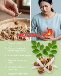 Moringa for Eye Health: The Natural Secret to Caring for Your Eyes and  Improving Your Vision… To continue receiving my recipes, just say… Thank  you! 🙏🏻 Full recipe in the first comment