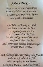 Oh what unhappy twist of fate has brought you homeless to my gate, the gate where once another stood to ~author unknown. Via Me Me Losing A Pet Pet Loss Quotes Cat Poems