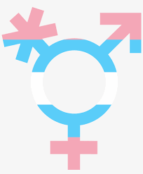 The transgender pride flag is a light blue, pink and white striped flag designed by american trans woman monica helms in 1999, and is a symbol of the transgender community, organizations, and individuals. Transgender Symbol Png Transgender Png Transparent Png 4297x5000 Free Download On Nicepng