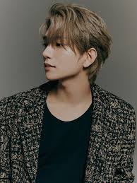 OT13 Hairstyles Hall of Fame? : r/seventeen