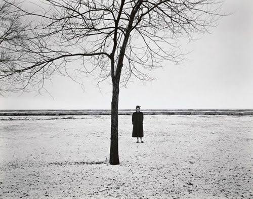 Work by Harry Callahan