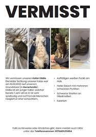 How to make a half page flyer in word. Katze Vermisst