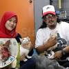 Btol ke gps dye.x jmpe pown. pusat jagaan kucing terbiar. Https Encrypted Tbn0 Gstatic Com Images Q Tbn And9gcr76ayxslieafikiba9g6538rz90ovy0l5ba Wi0vueipqfmave Usqp Cau