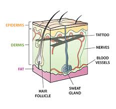 And, if laser tattoo removal works. How Laser Tattoo Removal Works Medical Tattoo Removal