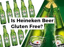 Is Heineken Gluten Free Glutenbee Heineken Beer Gluten Free Beer Heineken