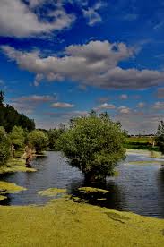 Insula mica a brailei, denumita si a doua delta a dunarii este inca un loc cvasivirgin care se afla, nu sub dominatia omului, ci sub cea a egretelor si a insula mica a brailei, parc natural protejat cu triplu statut (parc natural, sit ramsar si sit natura 2000) ofera turistilor posibilitatea de a descoperi micile. Insula Mare A BrÄƒilei Peterlengyel