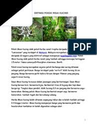 Alibaba.com offers 849 misai kucing products. Definisi Pokok Misai Kucing Docx