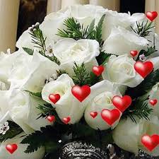 Auguri Di Compleanno Per Una Sorella Buon Compleanno Auguri Di Compleanno Auguri Di Buon Compleanno