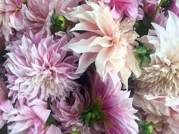 Whether you go for a pop of pink, a sunset orange or deep red the. Wedding Flowers For Every Season